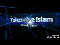 Tahzeeb e islam