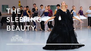 The Sleeping Beauty Rehearsal Video Of Carabosse Dutch National Ballet
