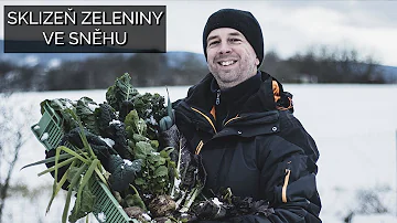 Kde leží Severní Karolína?