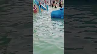 Water Park Bathing Video