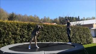 Parkour and Trampoline 2016