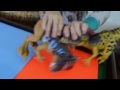 End of video