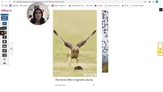 Famous Tuesday Reading--Nonfiction Unit 2 Session 4 Net Worth
