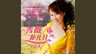 午夜玫瑰