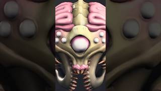 Doom the Dark Ages Temple of Lomarith Hybrid Cacodemon Toy Location