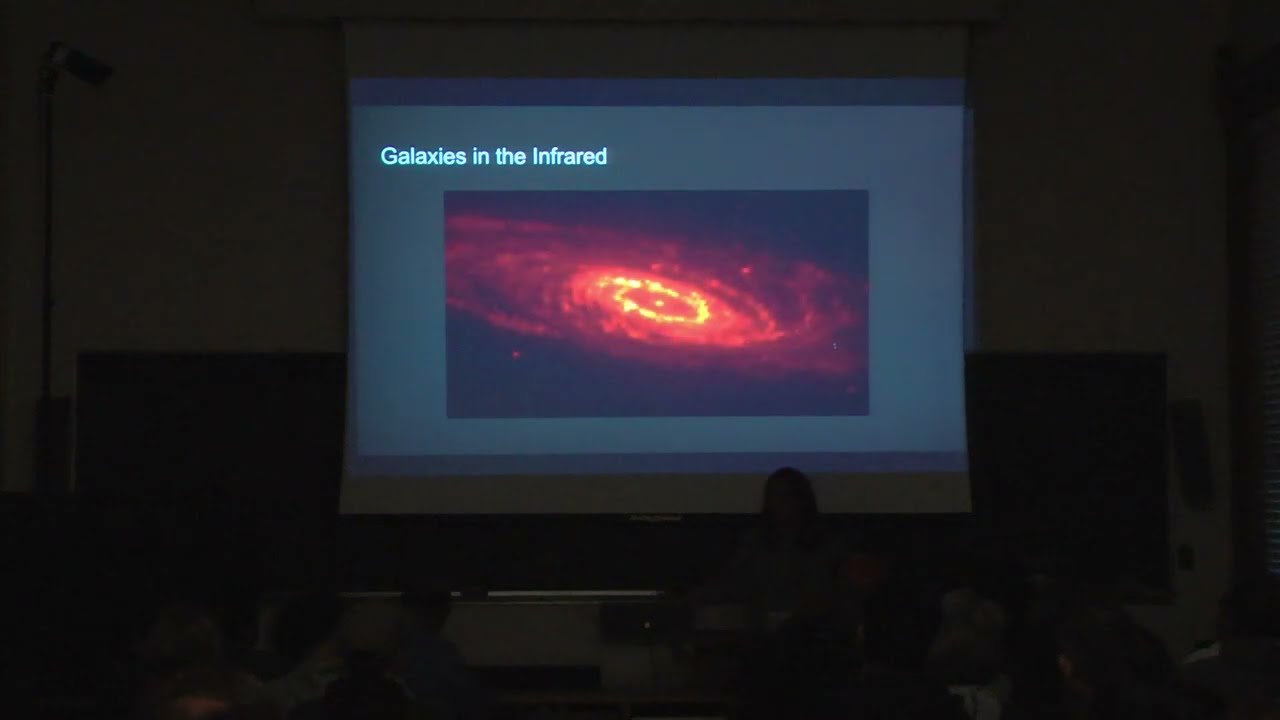 The Interstellar Medium in the Infrared