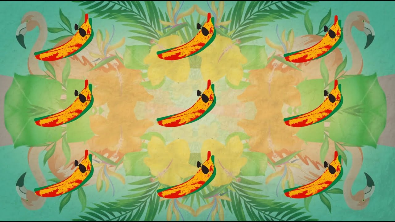 Banana feat Shaggy DJ FLe   Minisiren Remix Lyric Video  Conkarah