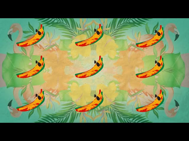 Banana (feat. Shaggy) [DJ FLe - Minisiren Remix] Lyric Video | Conkarah class=