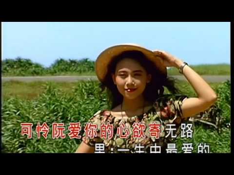 詹曼鈴 & 林清國 - 你現在好嗎 [後期剪接 金碟豹DVD版]