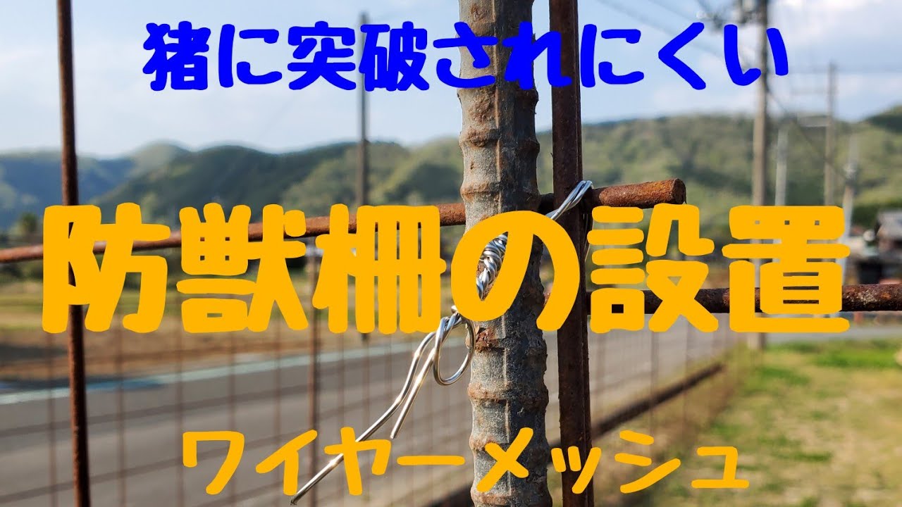 【ワイヤーメッシュ防獣柵の設置】。番線の結び方。猪に突破されない一工夫。　#ワイヤーメッシュ設置　#防獣柵設置　