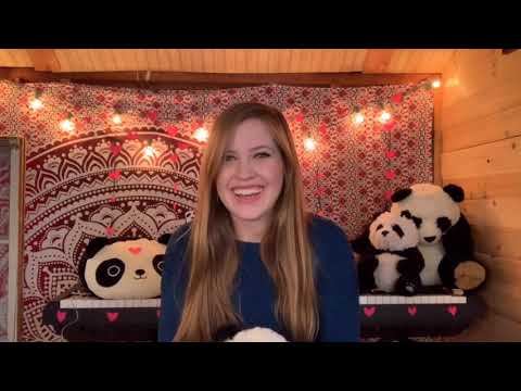 Pandas on a Beach! - Beach Panda - Pandatines Day Episode 12