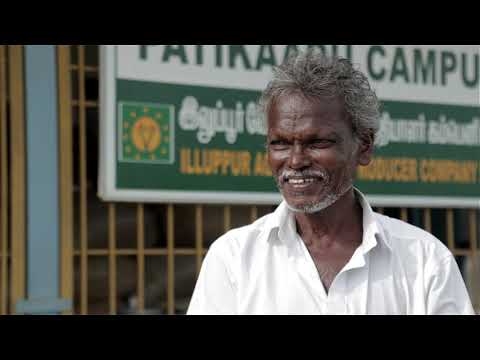 M S Swaminathan