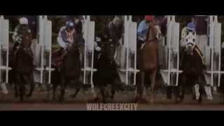 Breeders&#39; Cup 2014 | Clarity