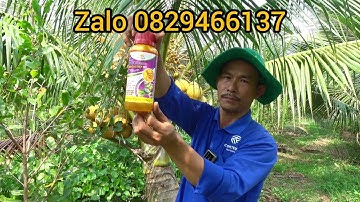 thuốc trị rệp sáp chuộc ,sốc ,đuôn sâu ,bọ cánh cứng