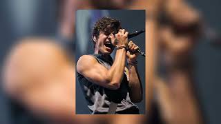 Shawn Mendes - In My Blood sped up Resimi