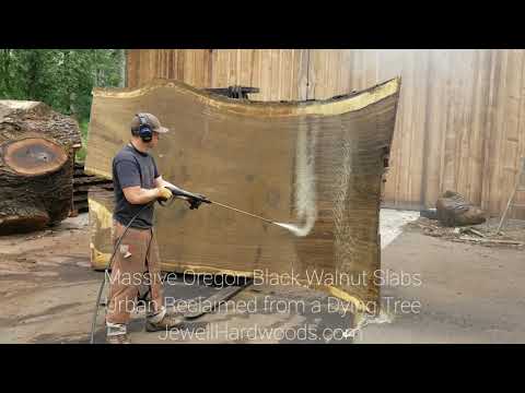 Gigantic Black Walnut Slab Being Pressure Washed to Reveal the Beauty Beneath the Surface