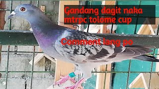 Ang Gandang Dagit Naka Club Ring Mtrpc Tolame Cup