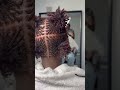Perfect grid #microlocinstall #locs #microlocmastery #hair #naturalhairstyles
