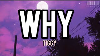 Video thumbnail of "Why-Tiggy Lyrics"