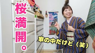 桜満開！ただし、うちの中ですよ笑