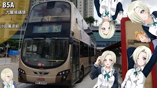 【舊時九碼】KMB RK2545 85A 往廣源~ [倍速行車] [lyrics]