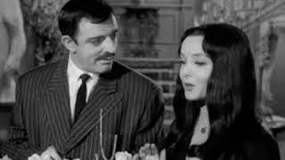 Los Locos Adams Cancion En Espaol