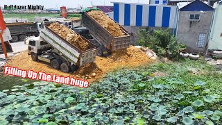 Amazing Processing Filling Up The Land huge, Bulldozer KOMATSU, Dump Truck Unloading