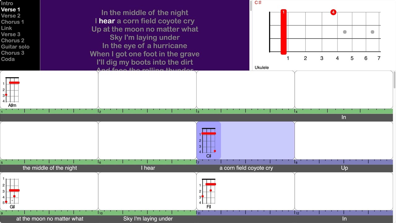 Wildflowers and Wild Horses Lainey Wilson (playalong for ukulele
