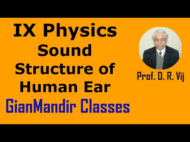 IX Physics | Sound | Structure of Human Ear by Amrinder Sir