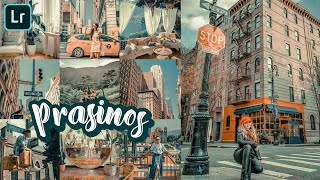 Prasinos Preset | Lightroom Mobile Preset Tutorials Free DNG | Lightroom Presets screenshot 5