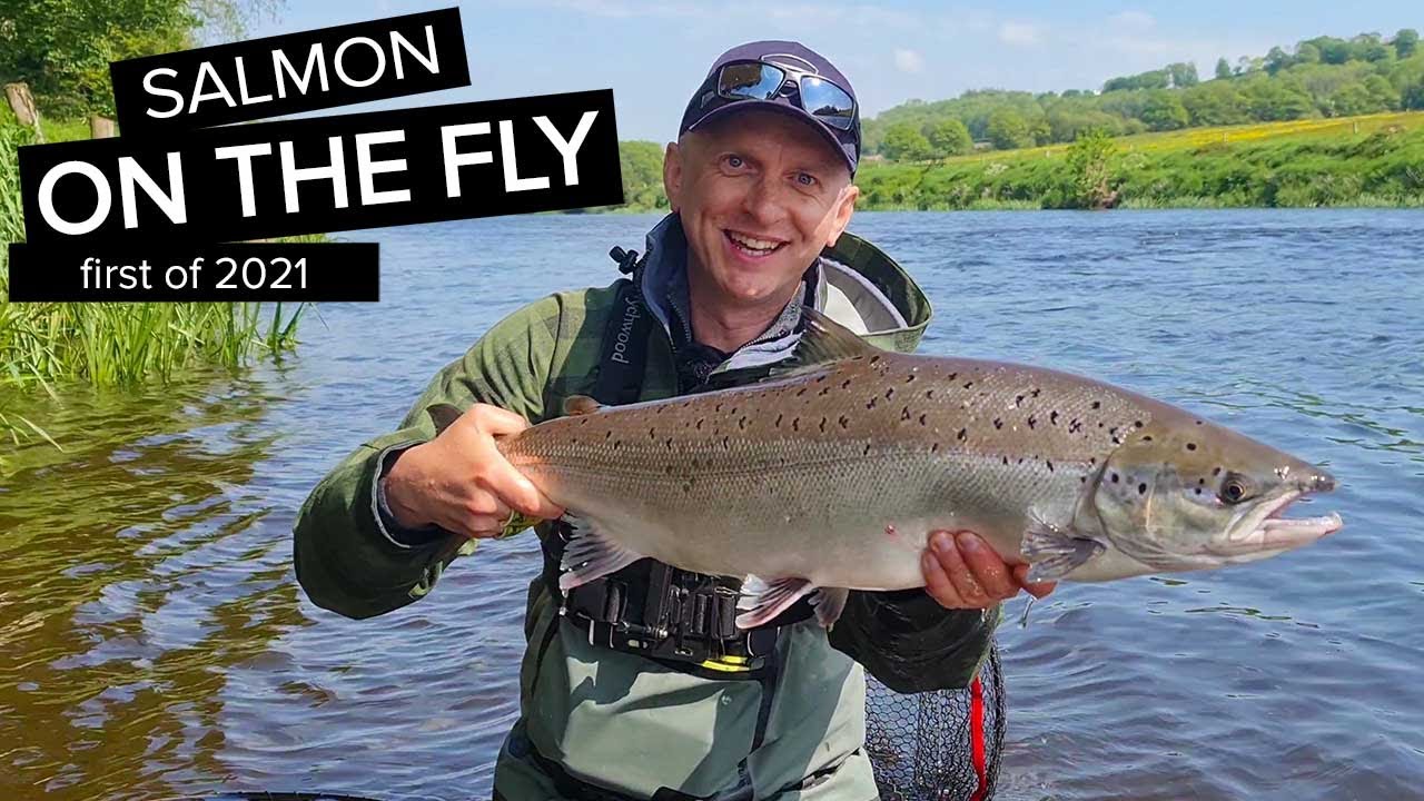 Big Salmon on the Fly, the first of 2021. Salmon Fly Fishing