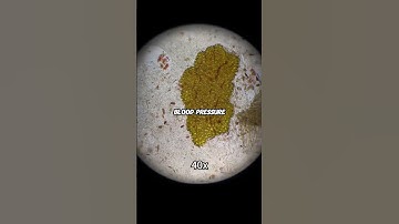 Heinz is the worst sauce on the planet