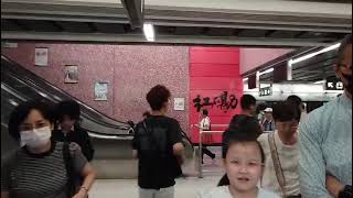 MTR EAL R train D022/D024 (P024) Journey from Kowloon Tong to Exhibition Center