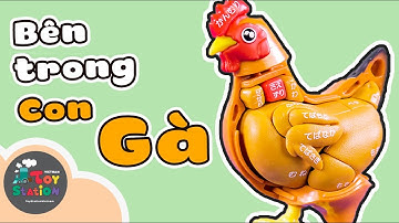 Bên trong con GÀ có những gì ToyStation 498