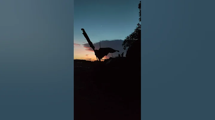 Dusk in the Farm