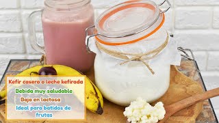 Kefir de leche casero- bebida saludable baja en lactosa
