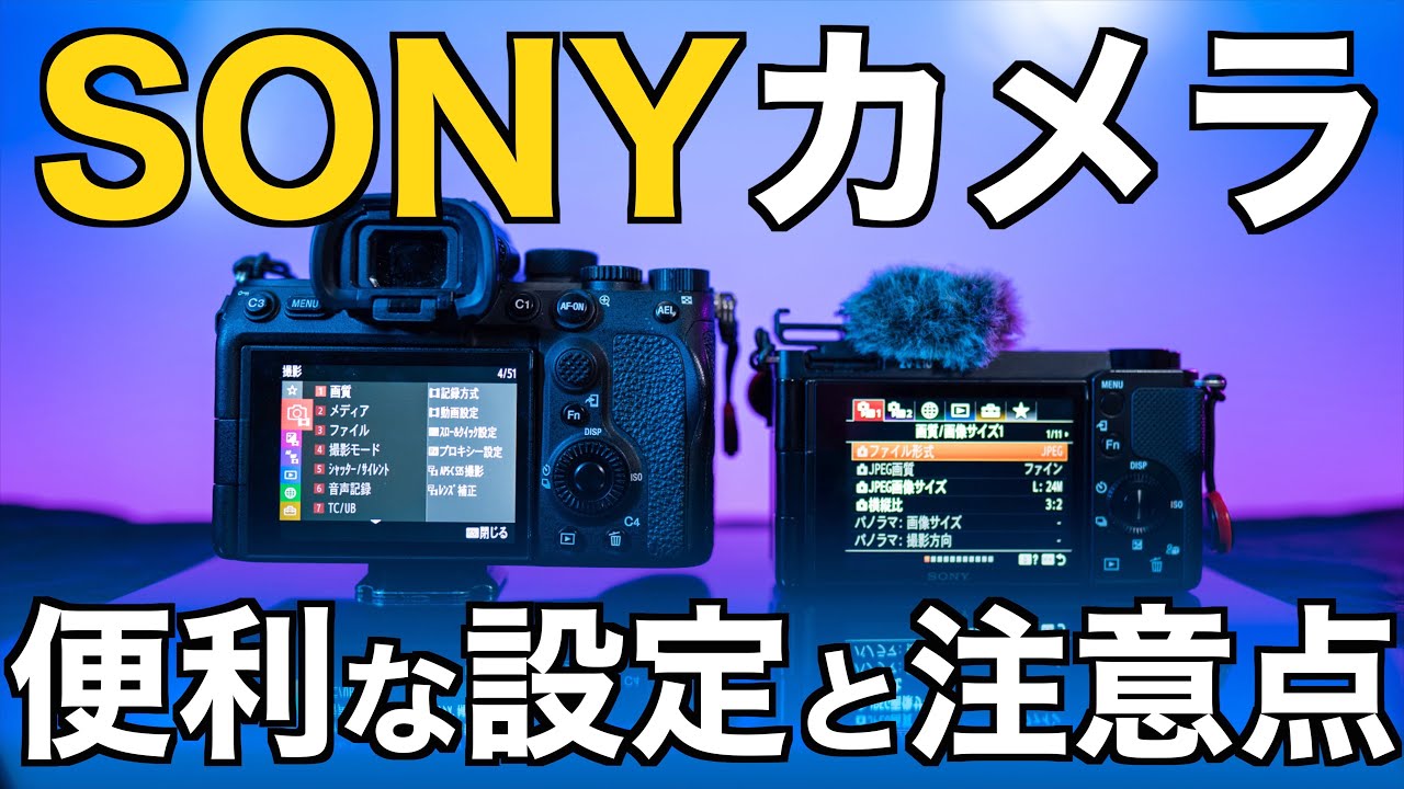 知ってた？】ソニーのカメラのズームで使える超便利機能と設定・使用時