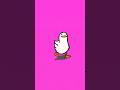 Walking duck #trending #funny #shorts #shortsfeed