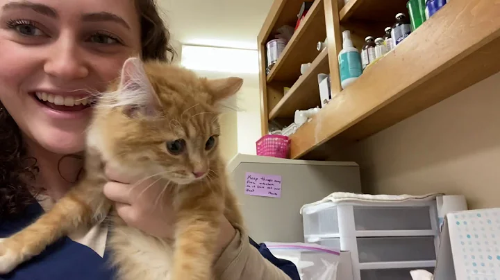 A few days in the life of an OAH employee
