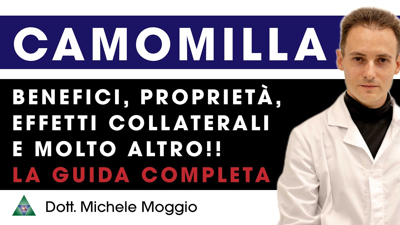 CAMOMILLA: Scopri i suoi Benefici e le sue proprietà