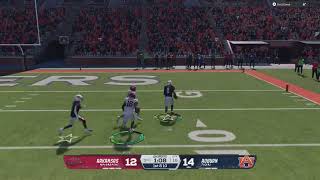 NCAA Auburn vs Arkansas Cam Coleman Best WR Pt. 4