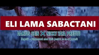 Darius Sein - Negativ Dumnezeul Meu Iubit Pentru Ce Mai Parasit