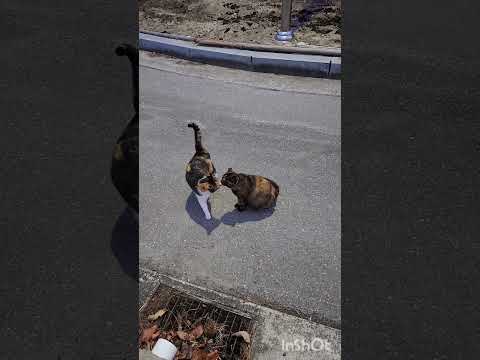 그러다 맞는다 너 😂