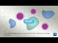 #gutzuwissen: HIV - Pille statt Impfung?