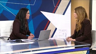NYC Council Speaker Menin on property tax increase, NYPD