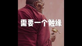 201510 需要一个触缘22401 Guide