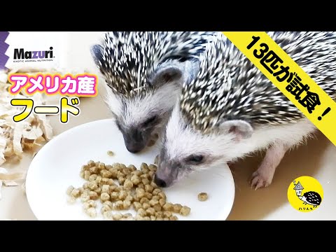 ハリネズミのフード「Mazuri Insectivore Diet」レビュー