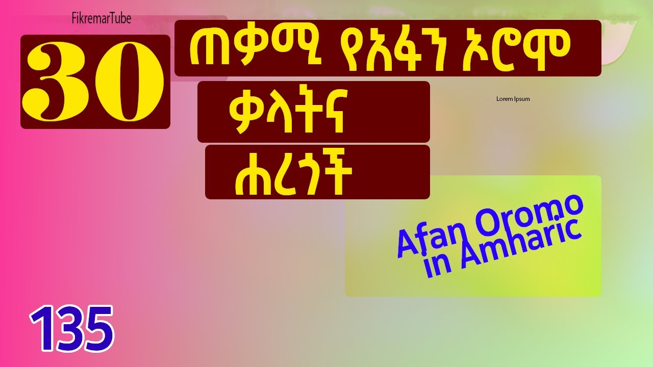 Learn Afan Oromo in Amharic @fikremartube1221