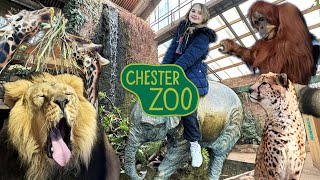 Chester Zoo Vlog | 24th February 2024