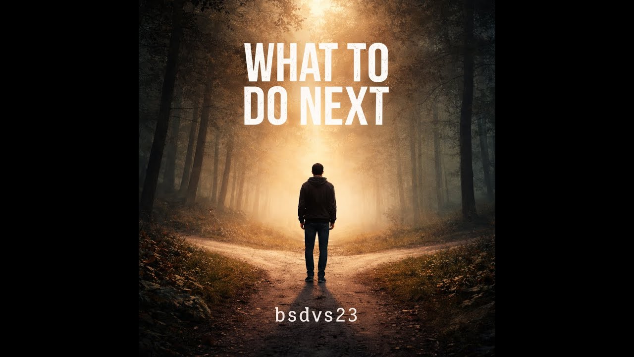 What To Do Next artwork
